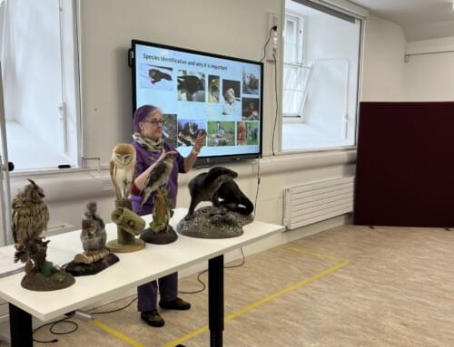 Guest speakers on training students in wildlife rescue and rehabilitation